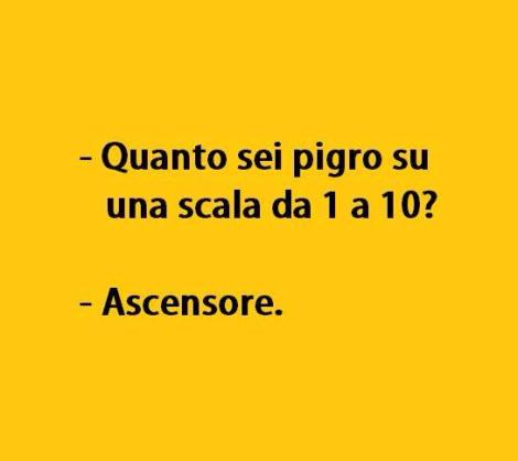 10372004_10204107977769263_4075391318297532176_n