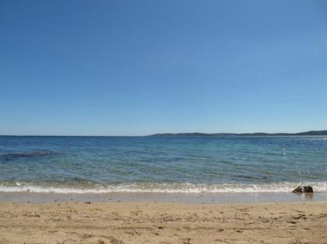 10593094_10204527149560140_8596582755514318161_n