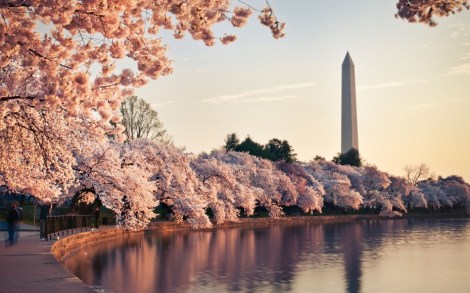 CHARMING0415-washington-dc
