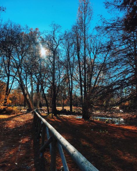 48091157_10217866553316897_5379982782086774784_n